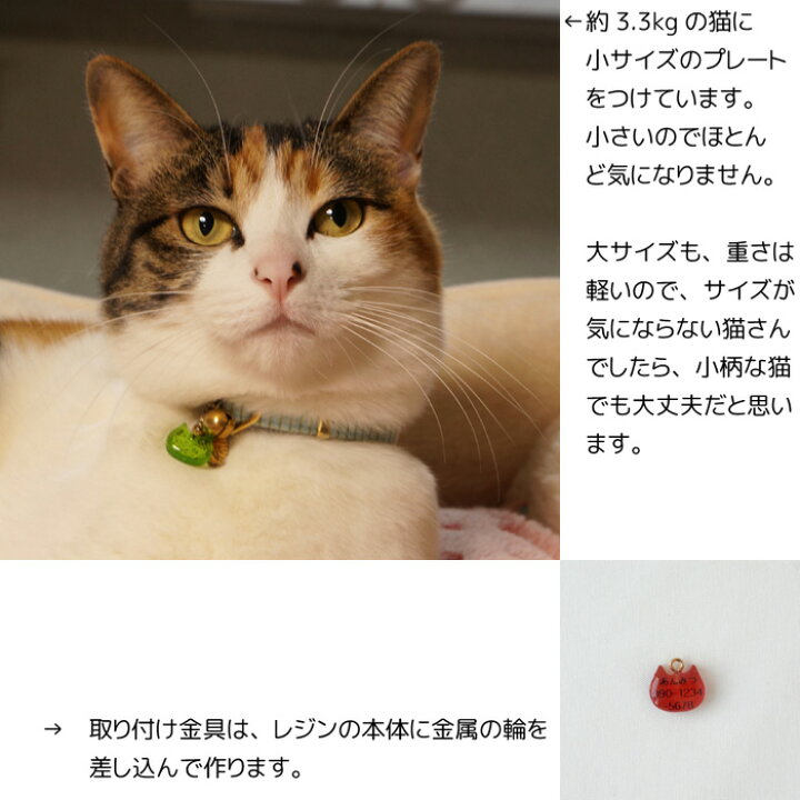 楽天市場】【猫型がキュート 超軽量ネームプレート（ミルキー・全5色  