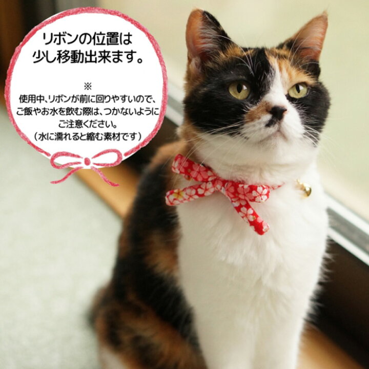 楽天市場】【江戸猫首輪リボン付き（大輪の桜・紫）】 / 3サイズから  
