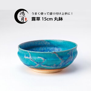 信楽焼 和食器 中鉢 煮物 おしゃれ 鴻月 焼物 焼き物 食器 ボウル 皿 パスタ皿 チャーハン皿 モダン 陶器 煮物鉢 サラダボウル 大きめ サラダ皿 日本製 結婚祝い 母の日 父の日 引き出物 お返