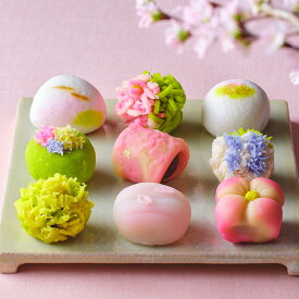限定200箱 上生菓子 四季撰「京の春」（9個入）鼓月 / 限定200箱 春 桜 桜スイーツ 和菓子 生菓子 送料無料 お取り寄せ 京都 人気 高級 和菓子 お菓子 ねりきり 練切 職人 春 金団 外郎 雪平 こなし 手作り 京菓子 生菓子 老舗 内祝 お祝い ギフト 贈り物 茶道