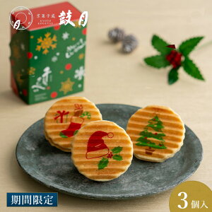 1128ȍ~͂@ی NX}X v~Aׂ 3 / s aَq V َq  Mtg Xmas v[g XC[c yY v`Mtg  T^ c[ giJC 