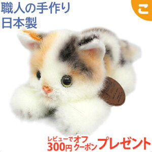 _Si2`5{I^OCXt lR  ˂̃~[ ~P  Opf Lbg ʂ L ˂ lR   Mtg v[g { 