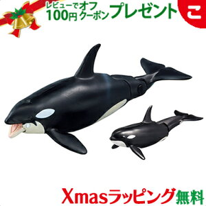 ^Jg~[ AjA AL|08 V`eq ɕVer.  ǂ q j̎q Cm Mtg v[g NX}X v[g bsOΉ