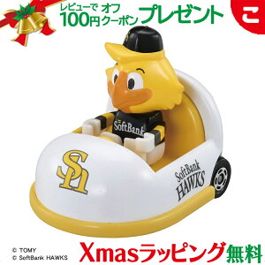 ^Jg~[ v싅g~J 2025 \tgoNz[NX }XRbgJ[ g~JRNV  싅 LN^[ ~jJ[   Mtg v[g 25x06 NX}X v[