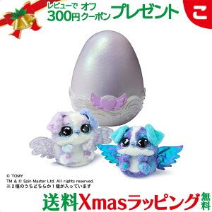 _Si2`5{I^^Jg~[ ܂āI E[ ACu pbpfB[ ʂ l` bybg a Mtg v[g 5Έȏ 24x08  NX}X v[g bs