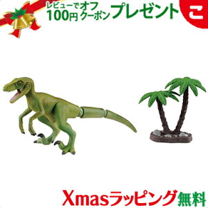 ^Jg~[ AjA AL|12 FLvg  ǂ q j̎q  Mtg v[g NX}X v[g bsOΉ