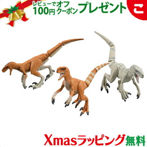 _Si2`5{I^^Jg~[ AjA WVbNE[h r̃n^[Zbg  ǂ q j̎q  Mtg v[g NX}X v[g bsOΉ