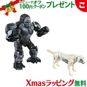 ^Jg~[ r[Xgo BCS-01 o`FWZbg IveB}XvC}A[XgCv NX}X v[g bsOΉ