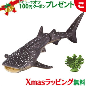 ^Jg~[ AjA AL|05 WxGU ɕVer.  ǂ q j̎q Cm Mtg v[g NX}X v[g bsOΉ