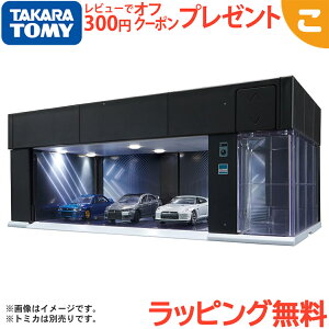 �_�S���i6�`9�{�I�^�^�J���g�~�[ �g�~�J�v���~�A�� tomica GARAGE PREMIUM BLACK Standard Edition �u���b�N �� �������� �K���[�W �Ԍ� ���ǂ� �q�� �~�j�J�[ �� ����� �R���N�V���� �M�t�g �v���[���g 
