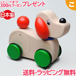 RCf fB M32 ؂̂ { KOIDE  NX}X v[g bsOΉ