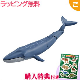 ＼全商品3～6倍！／タカラトミー アニア AL-23 シロナガスクジラ 水に浮くVer. おもちゃ こども 子供 男の子 ギフト プレゼント あす楽対応