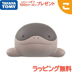 yViz ^Jg~[ |PbgX^[ R MS-43 hI[ |P tBMA  ǂ q Mtg v[g