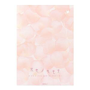 midori  Z~B5ԐFmL` 20405