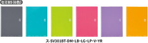 RN \tgOm[ghbg Br Z~B5 40X-SV301BT