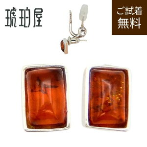  sAX X^bh c7mm 5mm ` v`sAX CG[Ao[ RjbN Vo[ 925 |[h og nj[ F `F[bh ogY jp Y ߂Ă