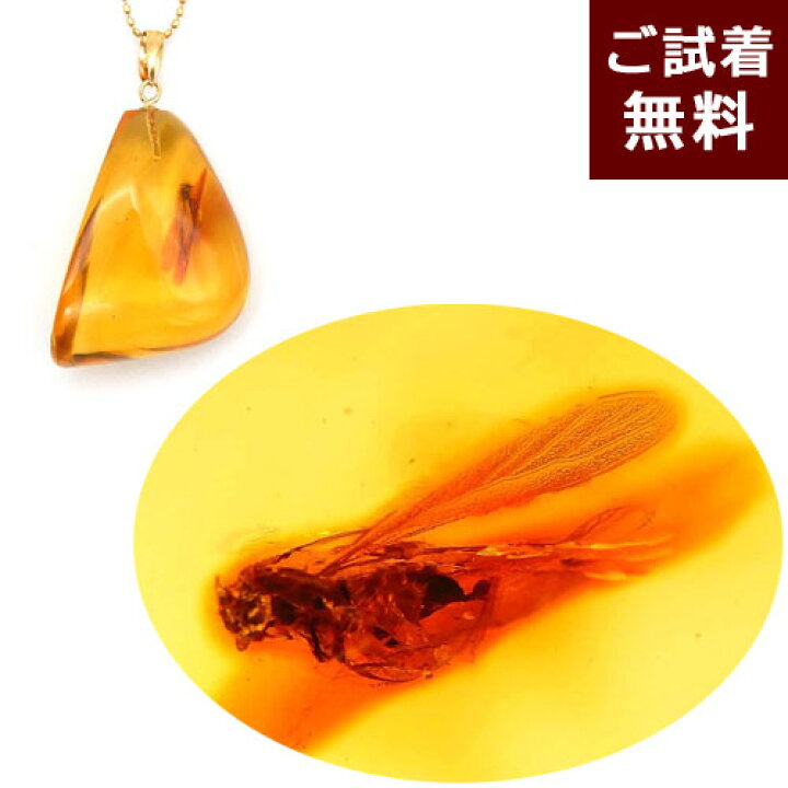 楽天市場】虫入り琥珀 ネックレス ペンダントトップ 大きめの蜂 ハチ 