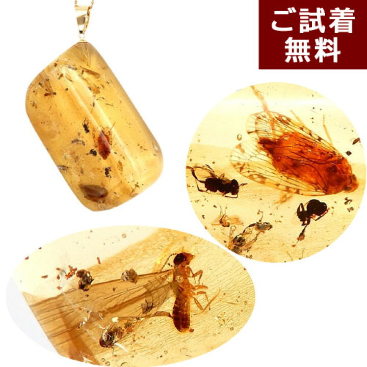 楽天市場】化石 虫入り琥珀 ネックレス ペンダントトップ ウンカ 白蟻  