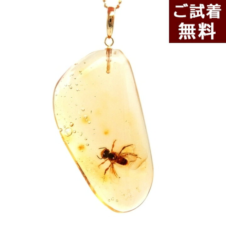 楽天市場】化石 虫入り琥珀 ネックレス ペンダントトップ 体長1.5cm 
