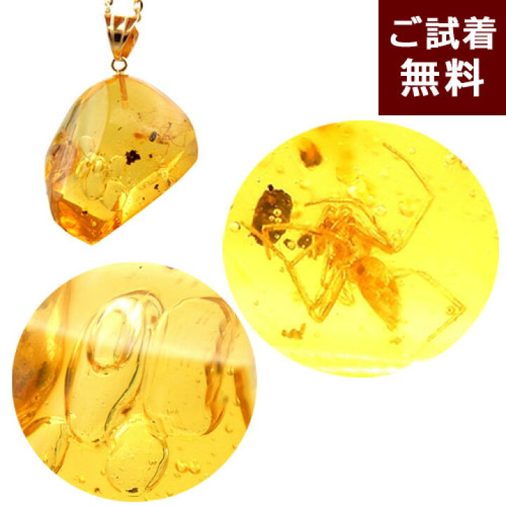 楽天市場】化石 虫入り琥珀 ネックレス ペンダントトップ 蜘蛛 動く 