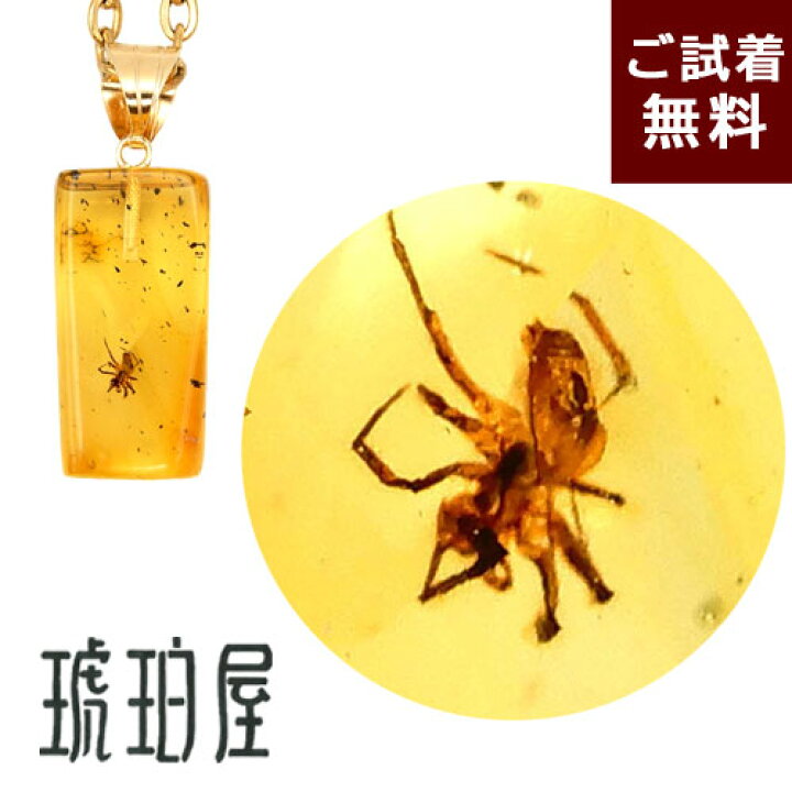 楽天市場】＼最大30％OFFクーポン／化石 虫入り琥珀 ネックレス  