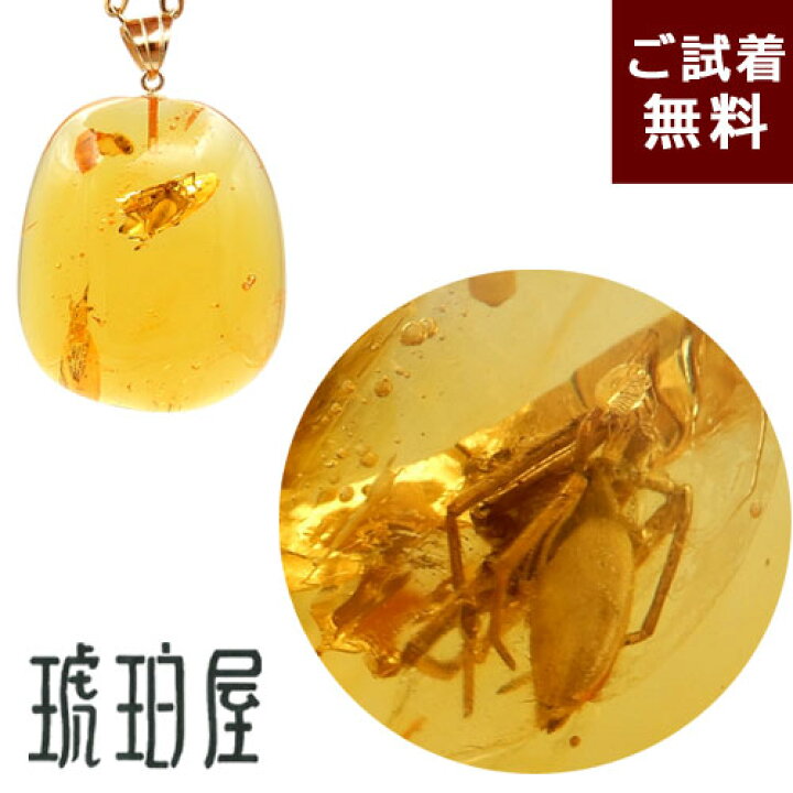 楽天市場】化石 虫入り琥珀 ネックレス ペンダントトップ コガネムシ 