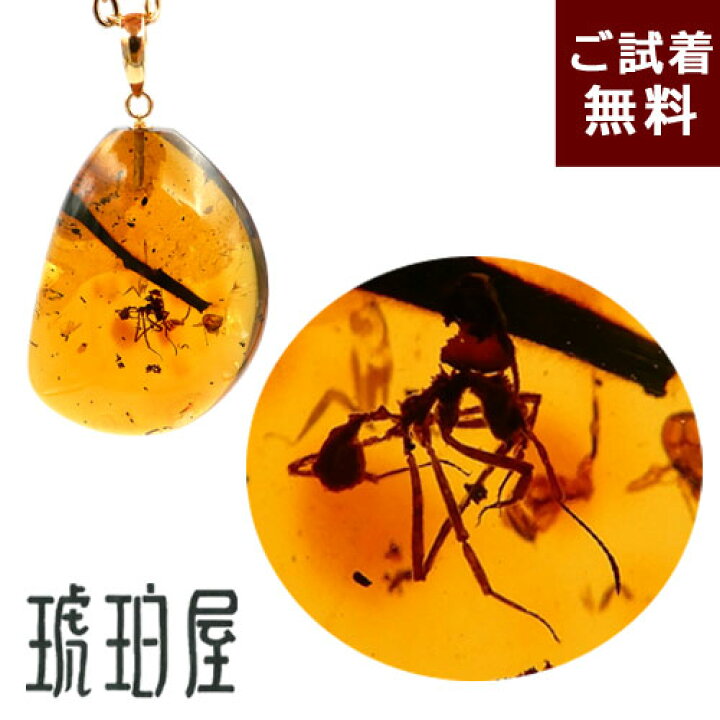 楽天市場】化石 虫入り琥珀 ネックレス ペンダントトップ 蟻 アリ 縦 