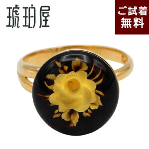 _10/30ISi5{ő25N[|^ t[TCYO w KN `F[bhAo[ C^I bLVo[ o ԐF Cbh ogY ݒ JI [