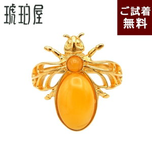 y1_z O w I n` CAo[ ~L[ 13.5  ogY i|I  ^ N K^ bL[ xC bLVo[ S[hJ[  