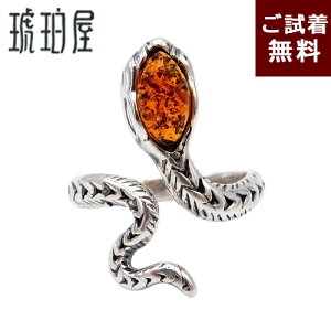  wr t[TCYO 2025Nx jp  w CG[Ao[ nj[ F J[ ogY t[TCY Y ^ K^ _ ٍV N bL[ Vo[ V