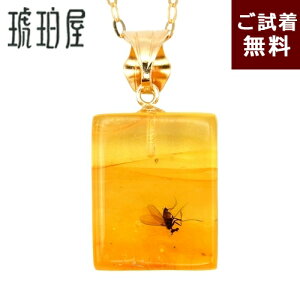   I lbNX y_ggbv RrA Ⴂ R[p Rp RrAY  J[  NA N bL[ K^ ^ K18 `F[ʔ _ 