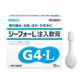 【第(2)類医薬品】ジーフォーL 注入軟膏 10個入