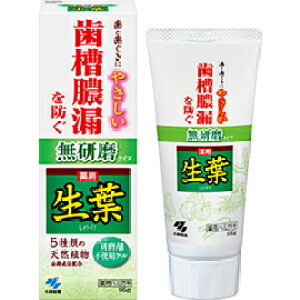 y򕔊Oizt^Cv 95g i傤悤j