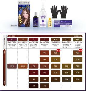 y򕔊OizEGg[ 2+1 t^Cv 8G