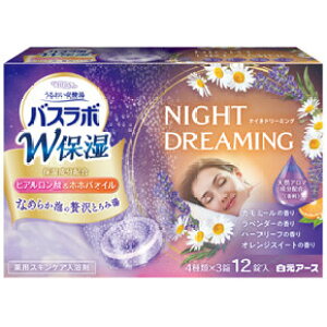�y��򕔊O�i�zHERS�o�X���{�@W�ێ� NIGHT DREAMING �i�C�g�h���[�~���O 12����