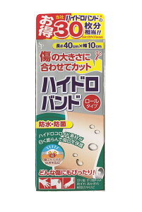 TCLEEt@[} nChoh[^Cv 10cm×40cm