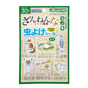 y`OXւőIzbN oT ˂Ȃ̎T 悯V[ 30