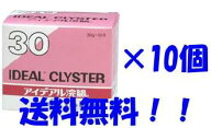 【第2類医薬品】【送料無料】アイデアル浣腸30g×10入り×10個セット