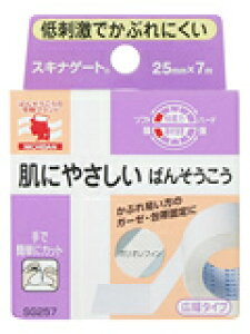 �X�L�i�Q�[�g 25mmX7m