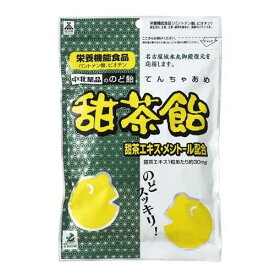 【定形外郵便で送料無料！】甜茶飴 80g