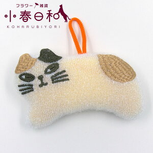 LLLb`Zbg LLX|WfBbVNX 2pcs set