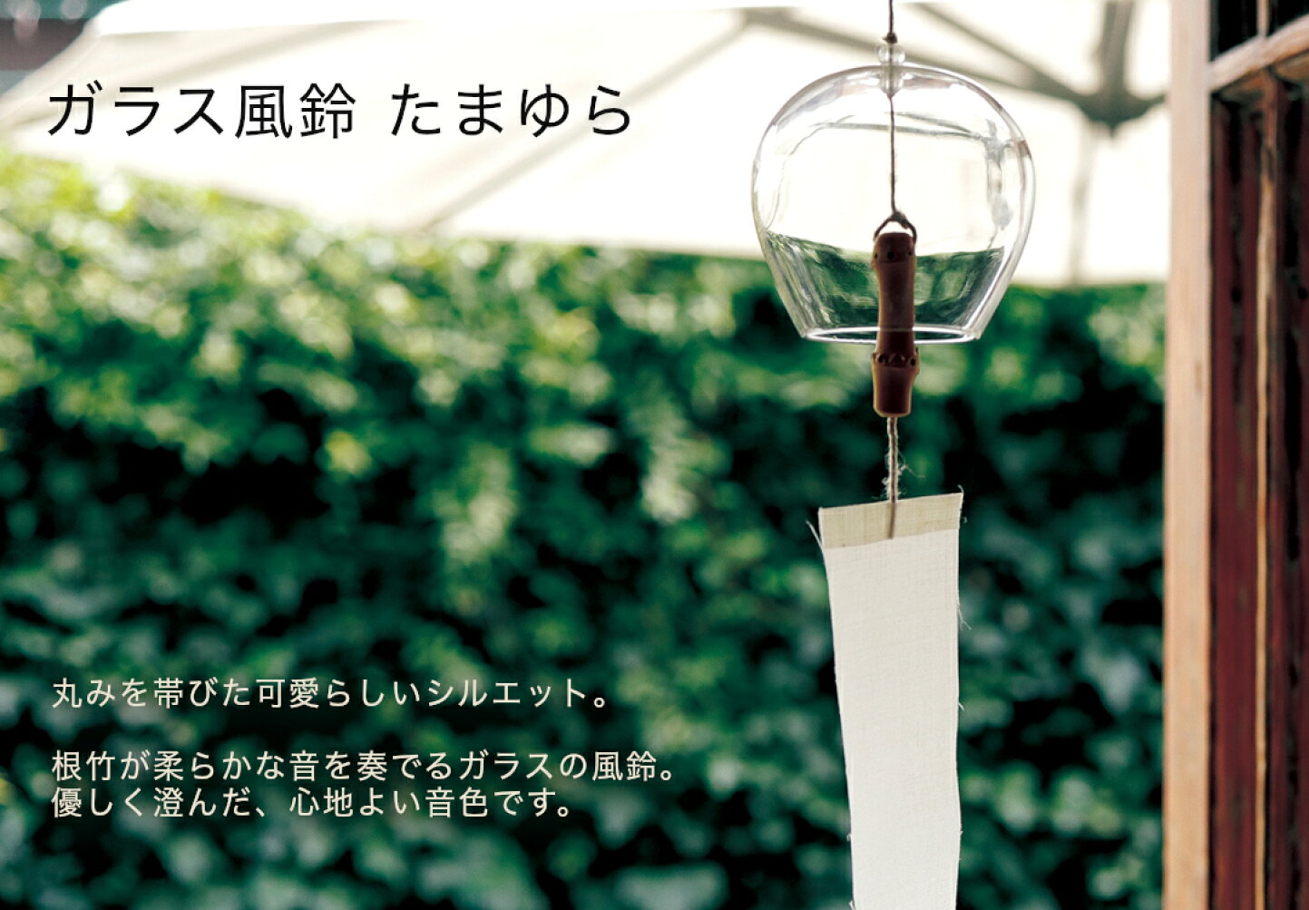 楽天市場 | 公長斎小菅 楽天市場店 - 公長齋小菅（こうちょうさいこす 