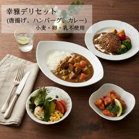 【送料無料】幸雅デリセット(唐揚げ・ハンバーグ・カレー)グルテンフリー 惣菜 冷凍 「小麦・卵・乳不使用」