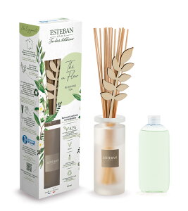 _ő7OFFsBLACK FRIDAYt^ESTEBAN CeAK[f ^u[Pu[~OeB[