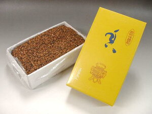 _ő1000~OFFI}\^č 퍁 500g 