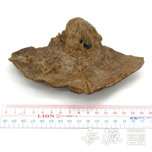 _ő7OFFsBLACK FRIDAYt^yiz@xgiY V@n@45g