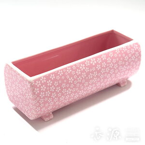 _5̕tyP4{f[z^ˏ F isNj