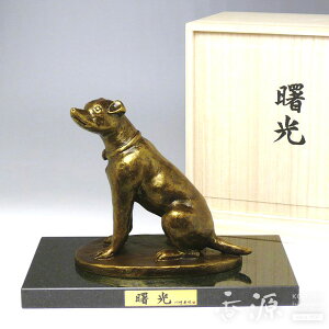 _5̕tyP4{f[z^ u ij  eΕt  蕁ƍ