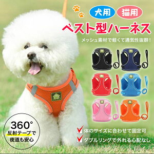 y14܂ł̒mŔsqɂ蓖Iz@n[lX@xXg^n[lX@@p@Lp@ybg@EȂ@[ht@킢@^@^@bV@