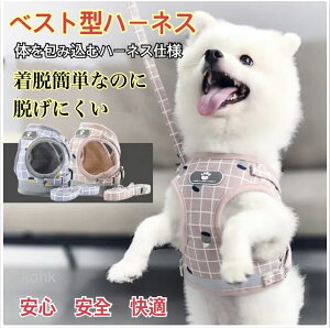 y14܂ł̒mŔsqɂ蓖Izn[lX@xXg^n[lX@@p@Lp@킢@@EȂ@[h@^@^@bV@@ybg